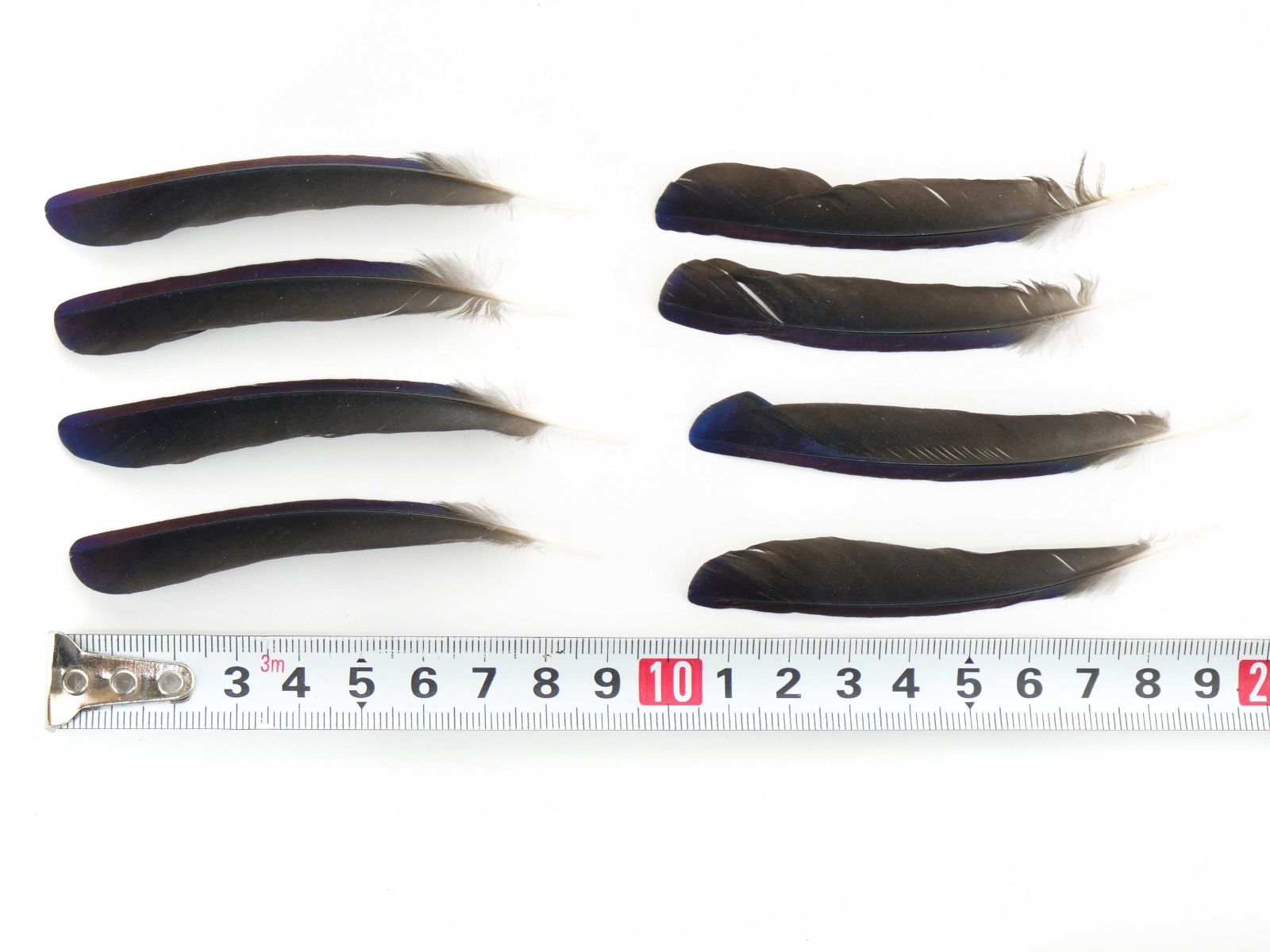 セット M～Lサイズ×20本