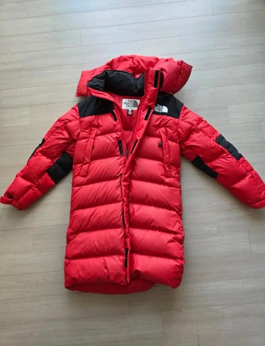 ザノースフェイス レディース ロングダウン 85