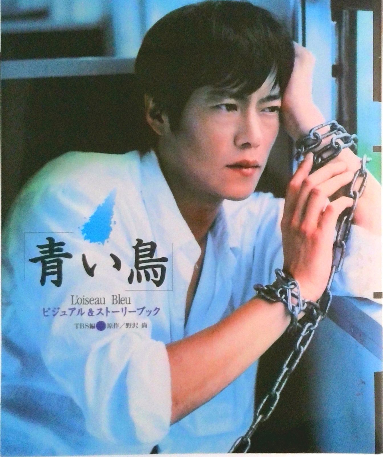 青い鳥 ビジュアル＆スト-リ-ブック /角川書店/東京放送（単行本