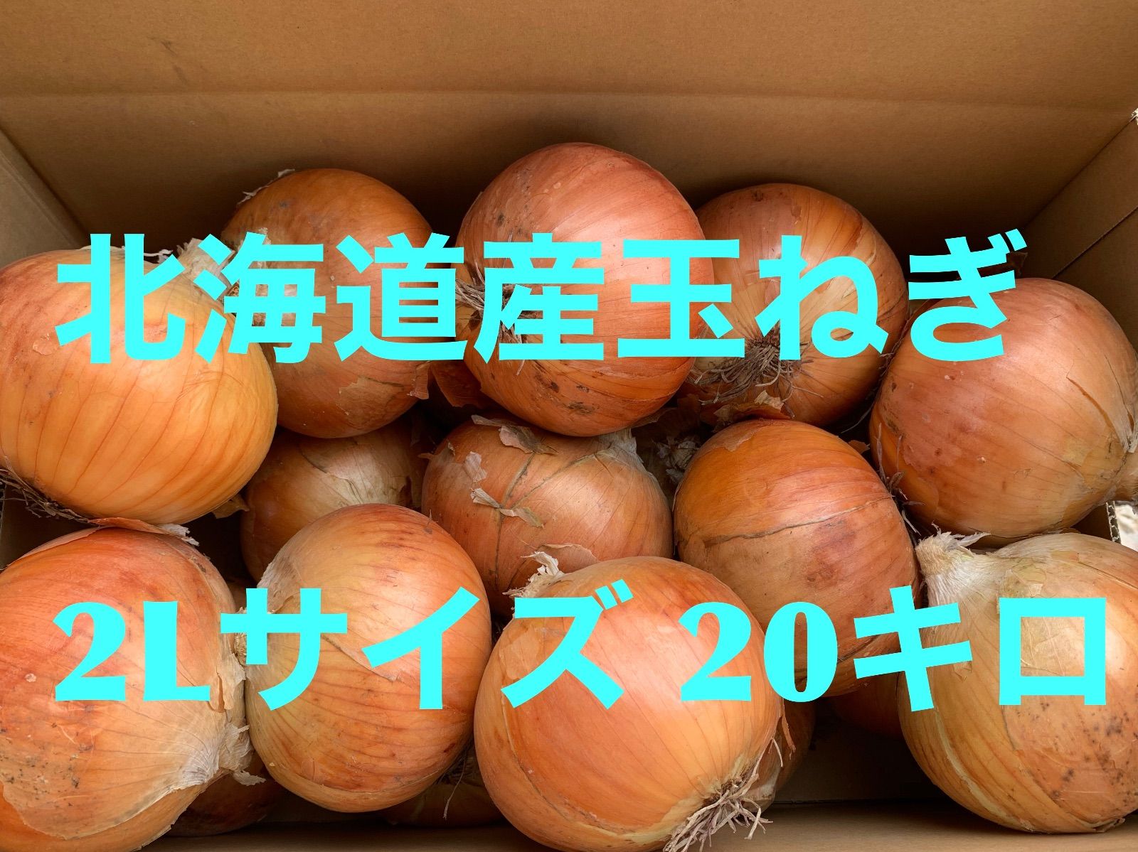 SR 様 専用 北海道産玉ねぎ 2L サイズ 食品 SR 様 専用 北海道産玉ねぎ 2L サイズ 食品