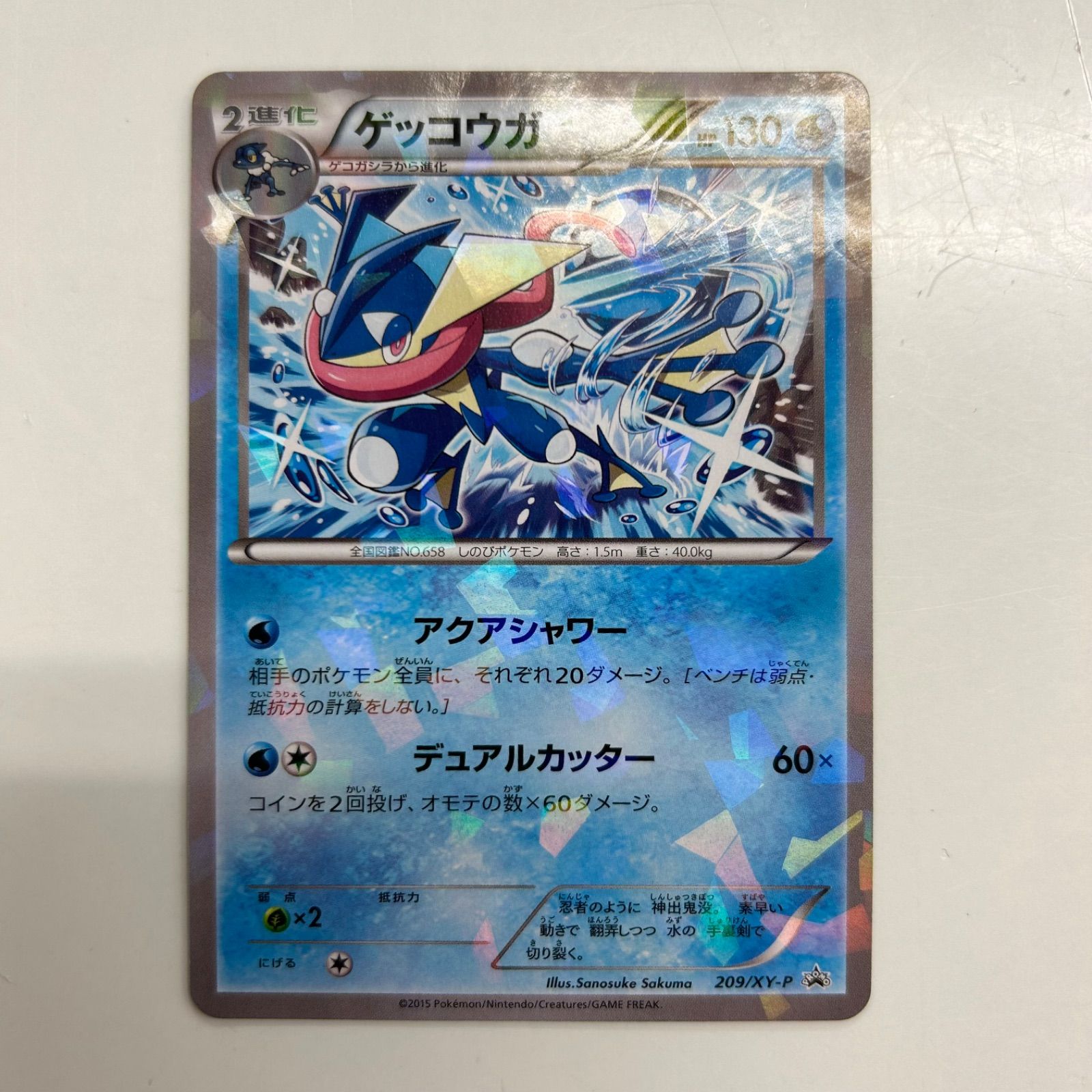 盛岡】ゲッコウガ ﾌﾟﾛﾓ 209/XY-P - メルカリ