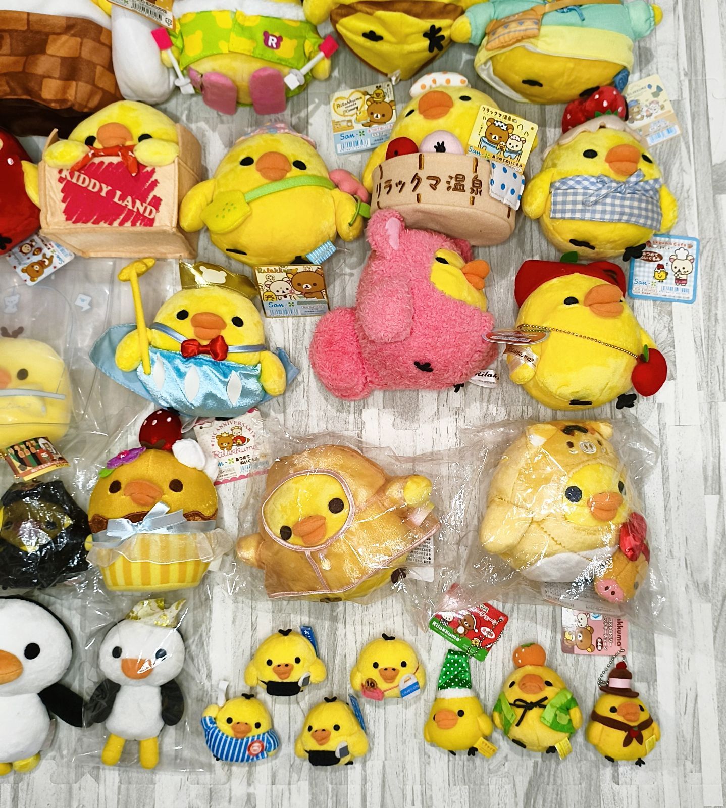 R008 ペンギン キイロイトリ ぬいぐるみ まとめ売り リラックマストア