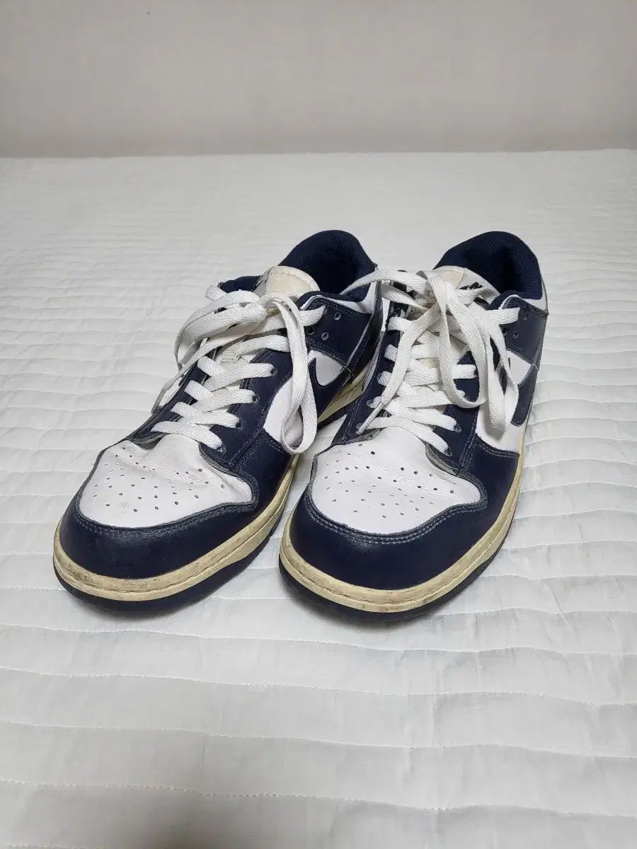 270 NIKE(ナイキ) レブロン 21 EP アラゴナイト