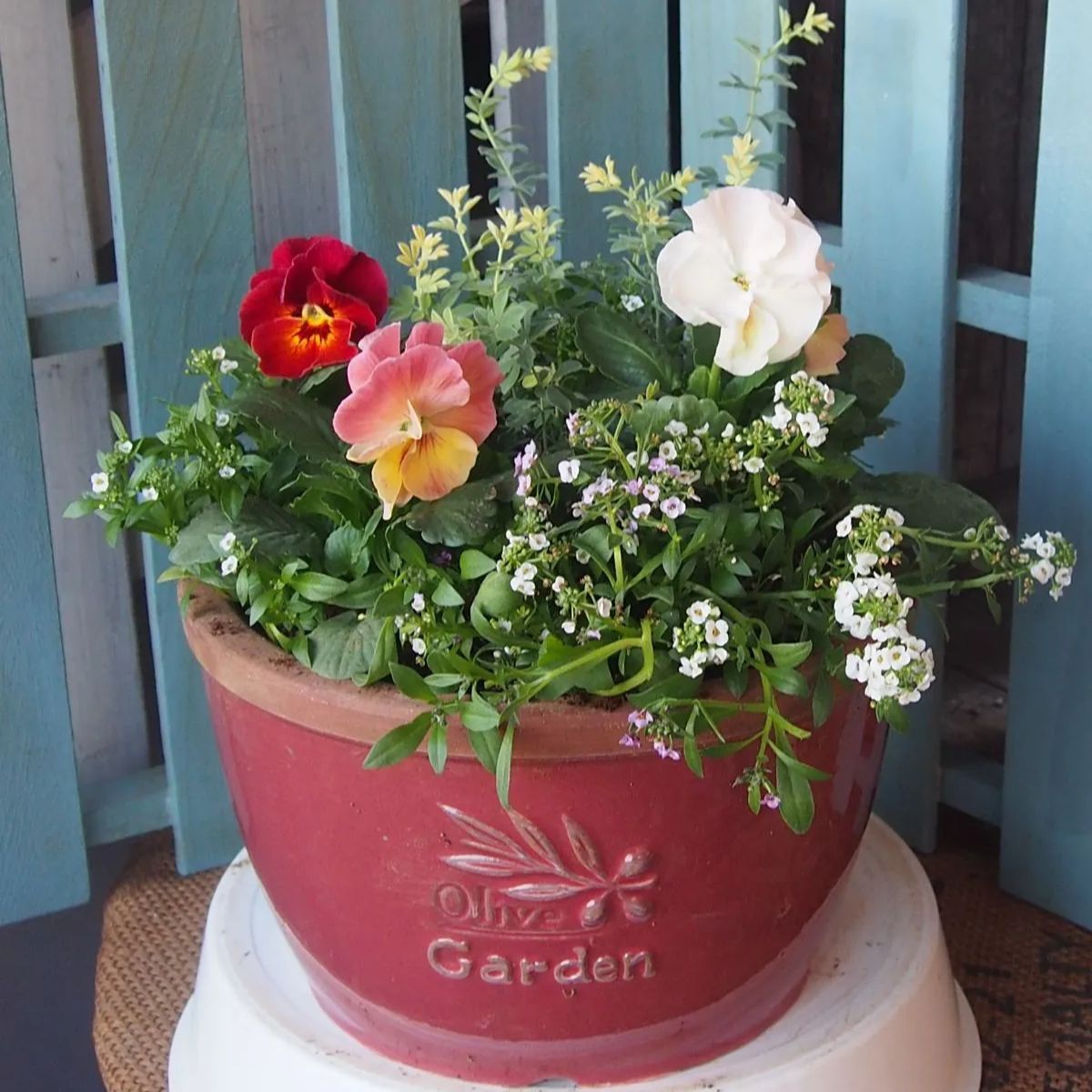 名工 十二代 今泉今右衛門 色鍋島 柴垣椿絵 額皿 飾皿 輪花形 大皿 九寸皿