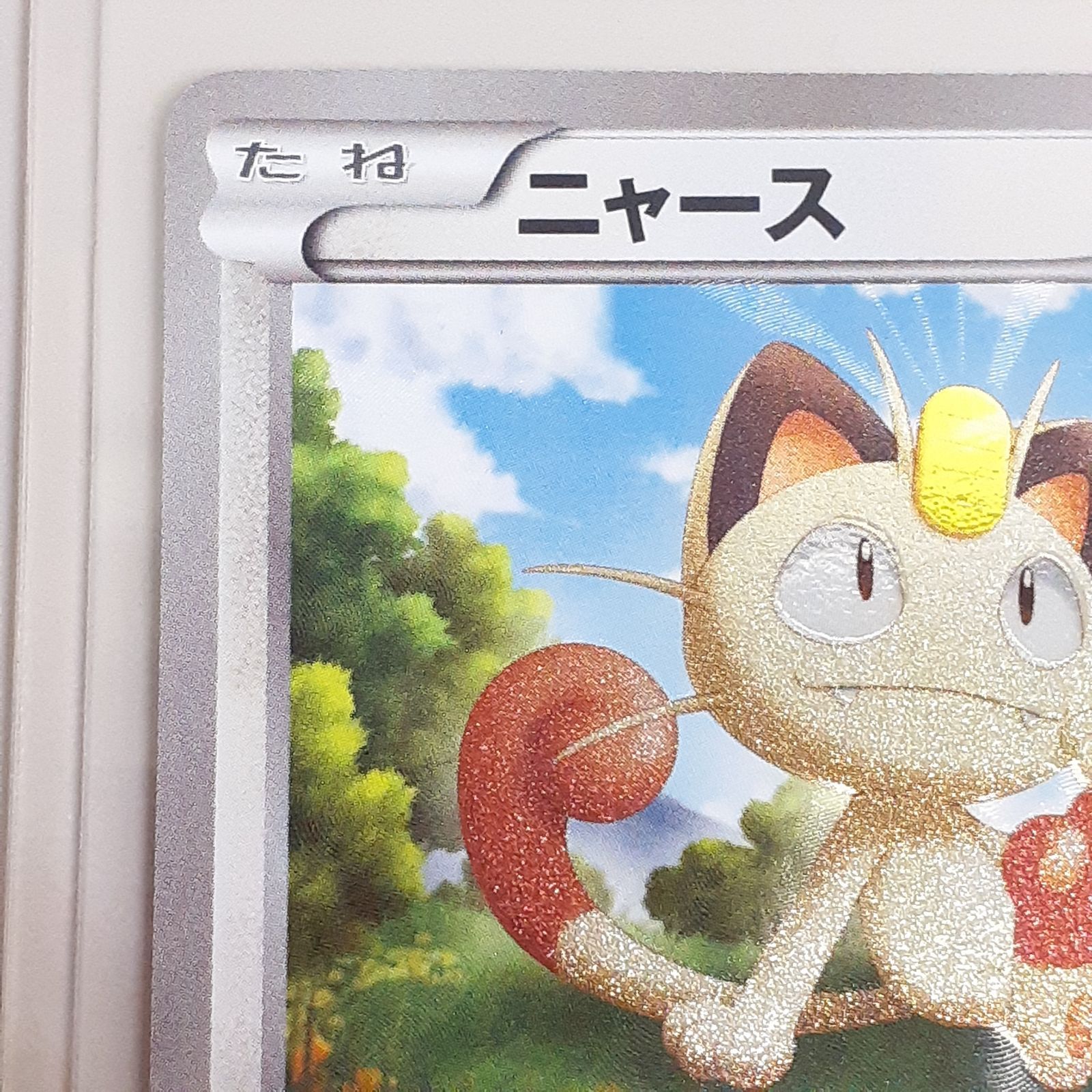 三沢店56-10-1122】ポケモンカード ポケモンカード ニャース BW2 072