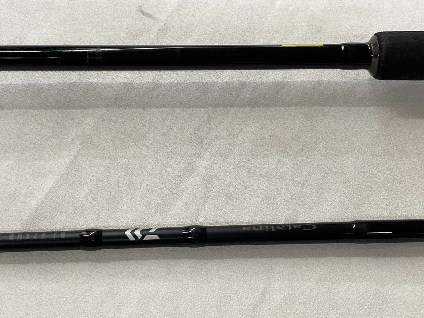 送料無料(一部地域除く) ダイワ キャタリナBJ 62XHB TG・Y