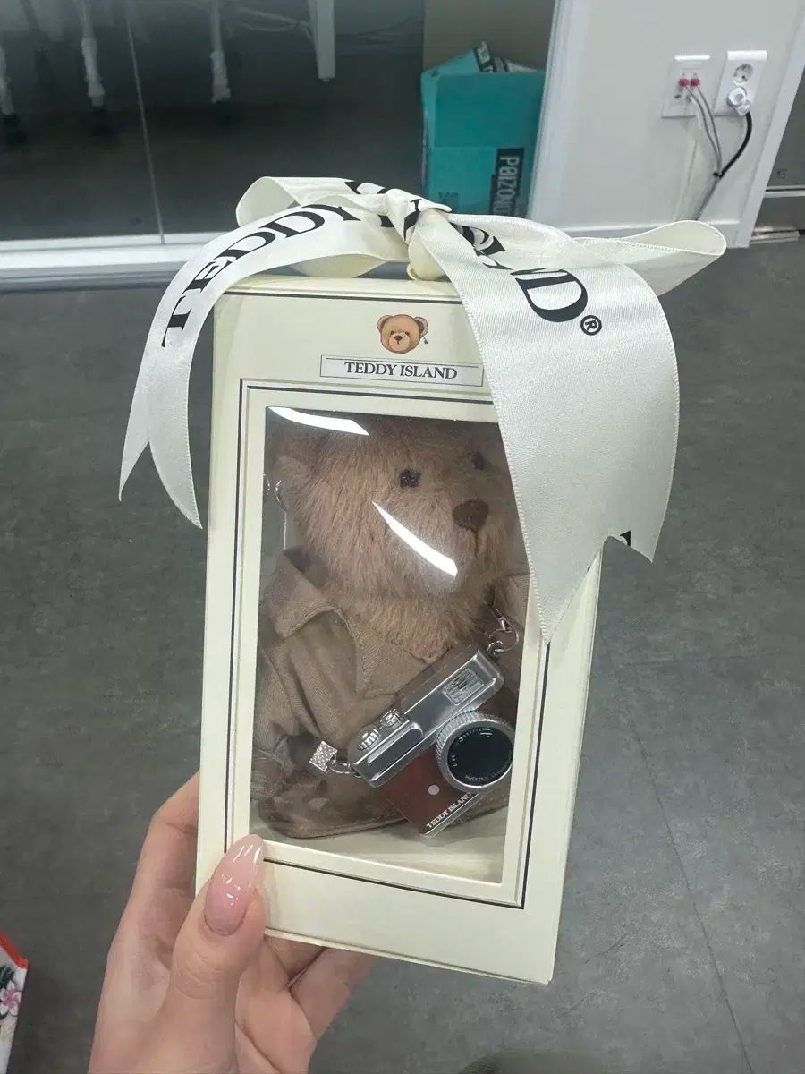 TEDDY ISLAND クマのぬいぐるみ + カメラ キーホルダー セット