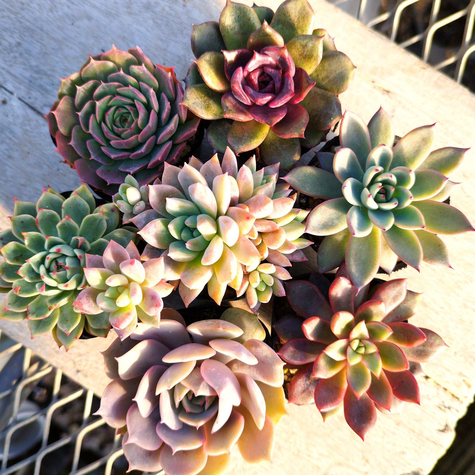 LOUIS VUITTON ルイヴィトン 33点 セット