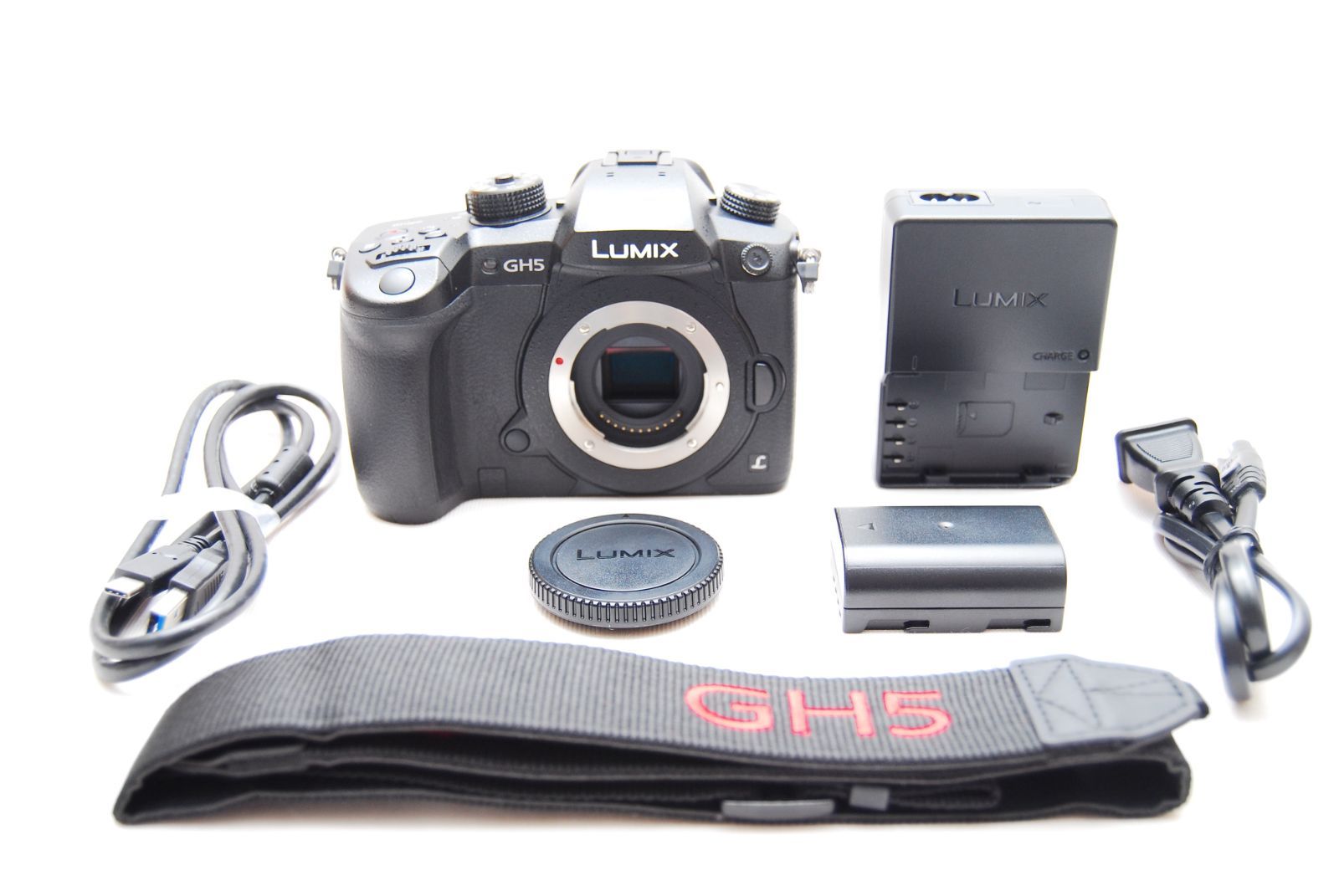 ☆極上美品 ショット数134回 パナソニック ミラーレス一眼カメラ