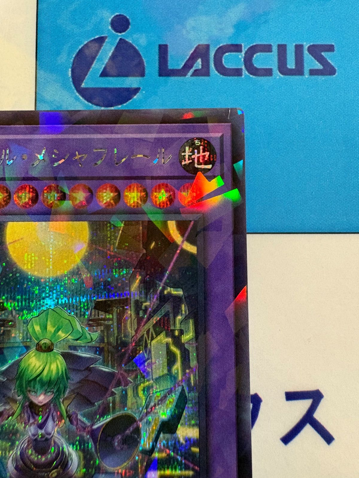 エルシャドールメシャフレール プリシク 1枚 エルシャドール