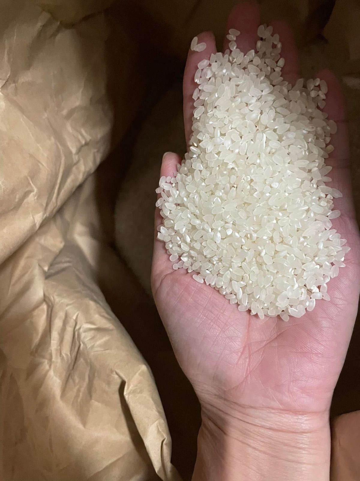 新米 R7 彩のきずな 30kg 送料無料・精米無料 - メルカリ