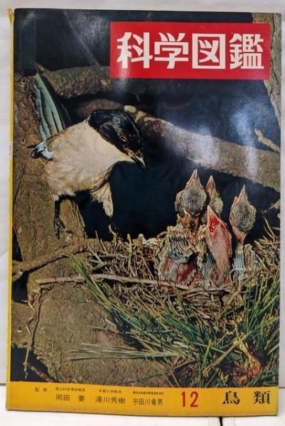 【中古】準契約及事務管理の研究／小池 隆一 (著)／清水書店 中古】準契約及事務管理の研究／小池 隆一 (著)／清水書店 【公式通販】