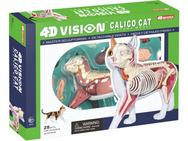 4D ビジョン 三毛猫 解剖モデル 4D VISION 622040 Calico Cat Anatomy