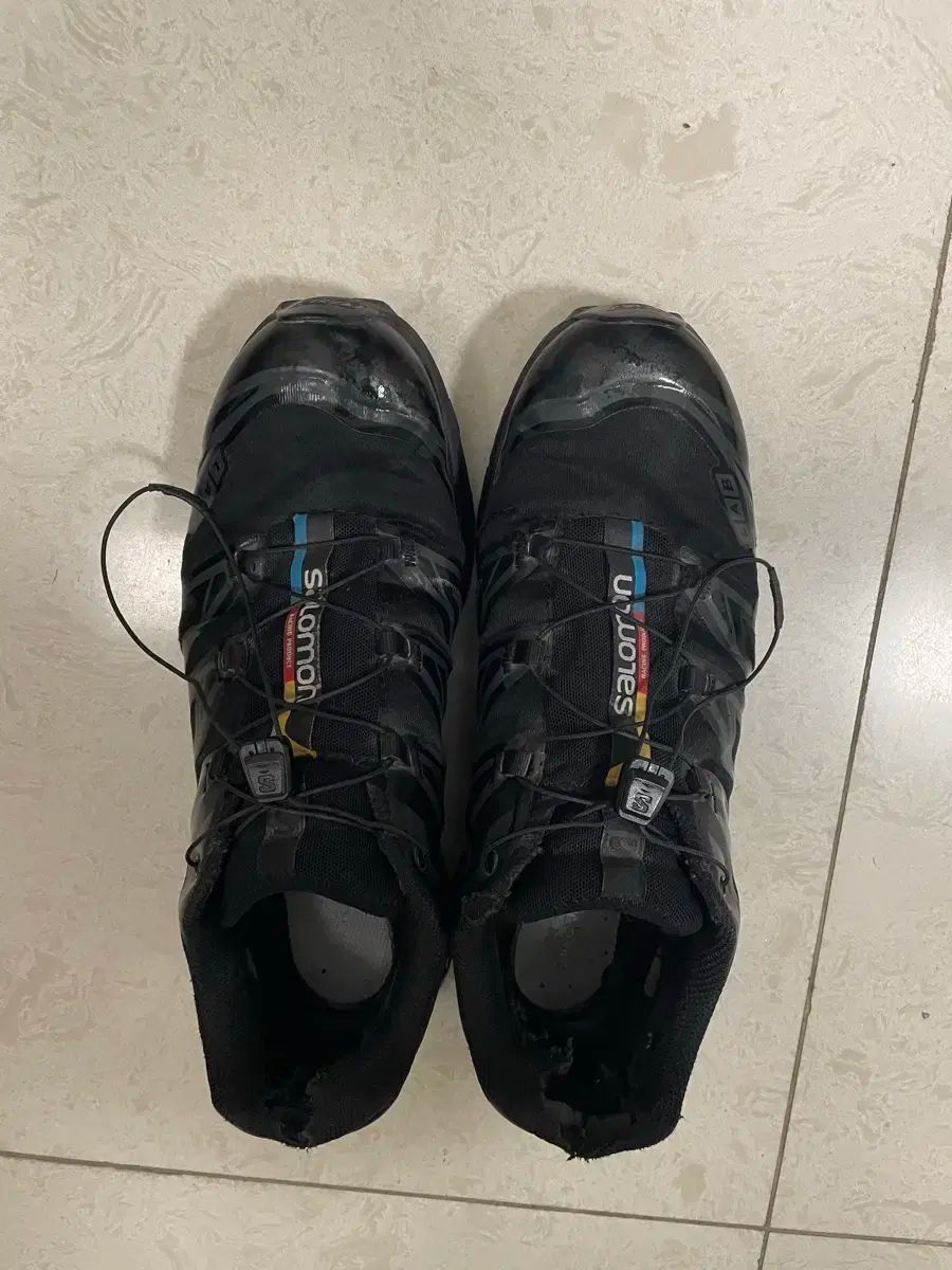 いとみち(特典DVD付き2枚組)(品)