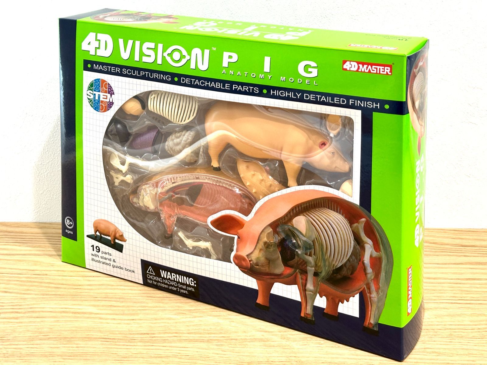 4D ビジョン 豚 解剖 モデル 4D VISION 622023 Pig Anatomy Model
