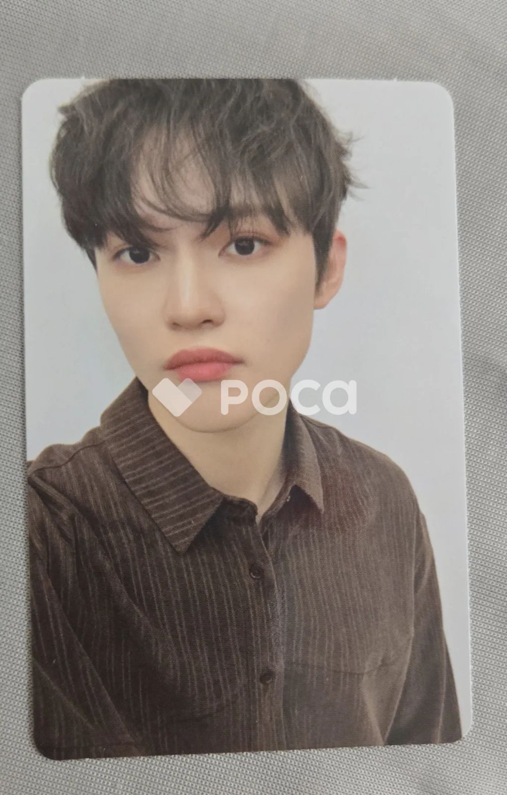 NCT チョンロ Dreamiez's Dream Forest ポップアップ ランダム