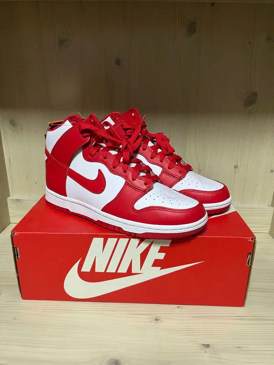 NIKE ダンクハイ レトロ チャンピオンシップ レッド 260