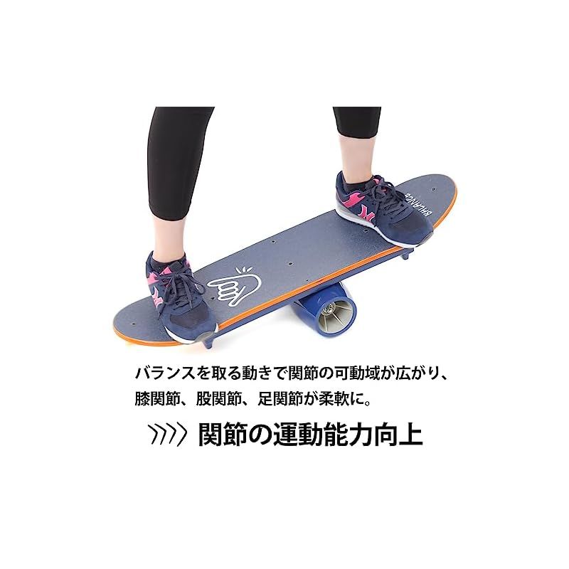 Fungoal バランスボードPRO 体幹 バランス トレーニング ローラーが