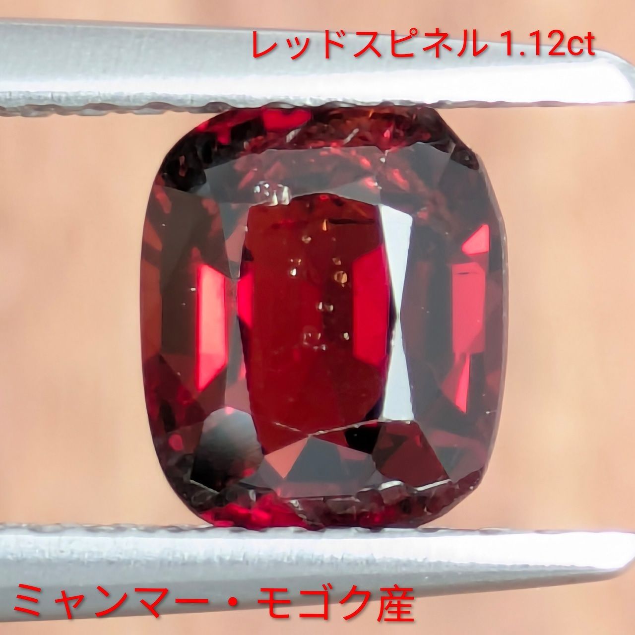 梅 盆栽 6号鉢つき 紅白の花色❗幹太❗ ⑦