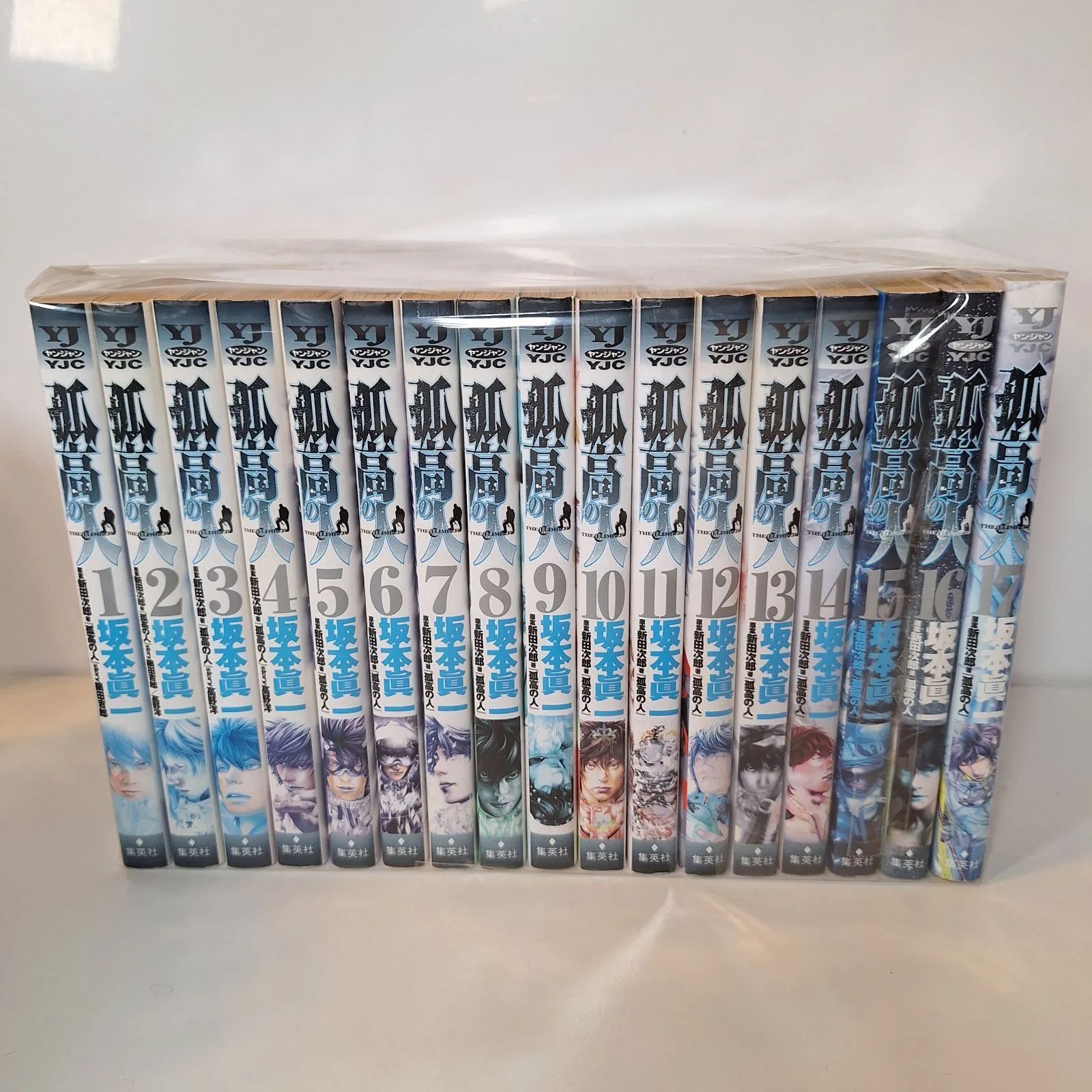 孤高の人 全17巻セット 坂本眞一 - メルカリ