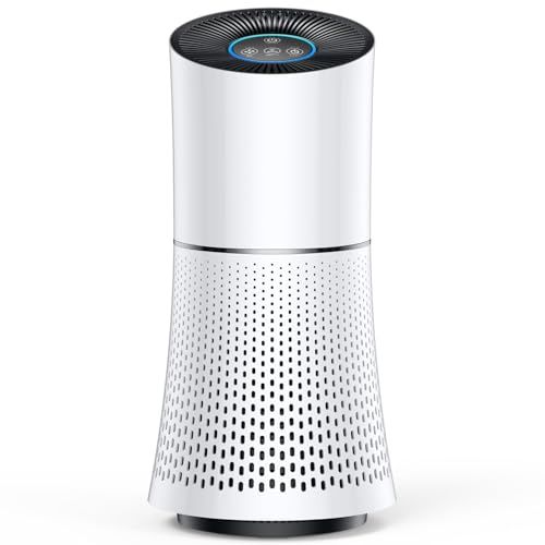 2024年製 ダイソン Pure Hot Cool HP00 空気清浄機 dyson Pure Hot + Cool