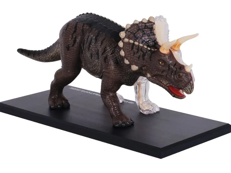 【新品未開封】ハモンドコレクション ステゴサウルス ベビー 日本未発売 新品未開封】ハモンドコレクション ステゴサウルス ベビー 日本未発売