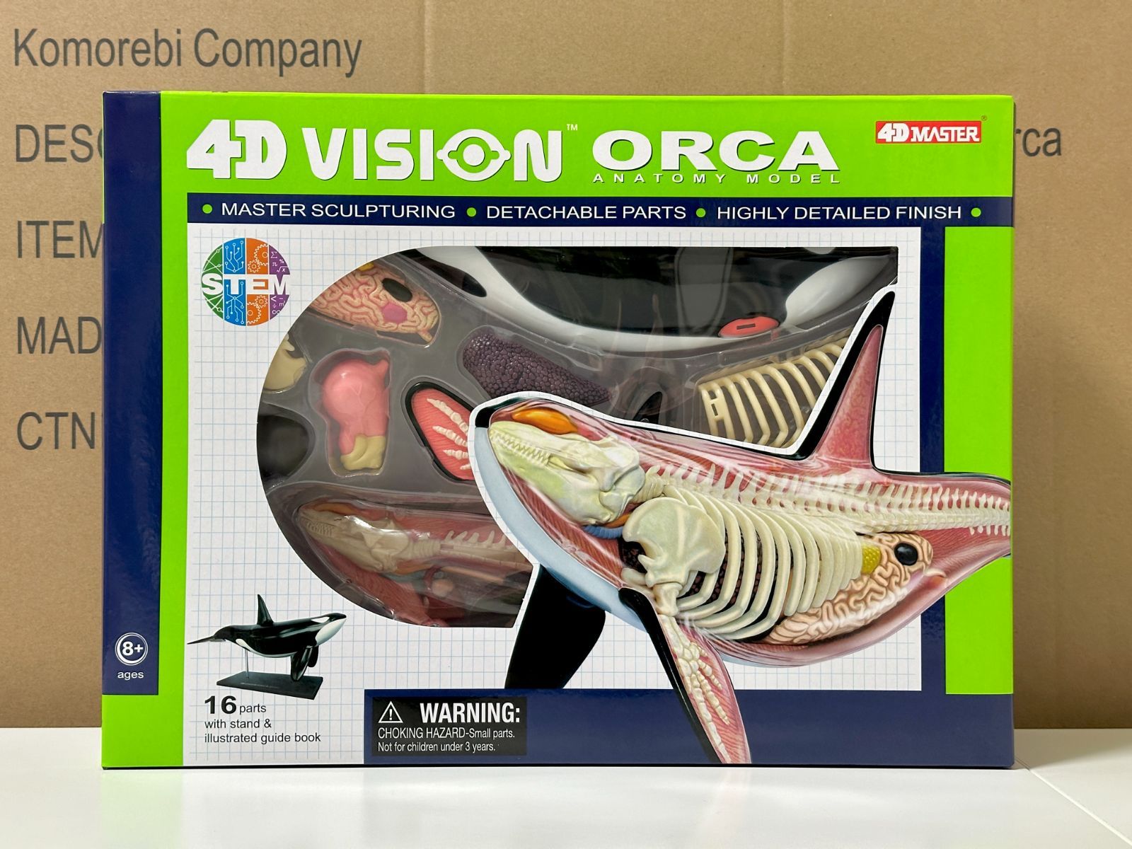 4D ビジョン シャチ 解剖モデル 4D VISION 622026 Orca Anatomy Model