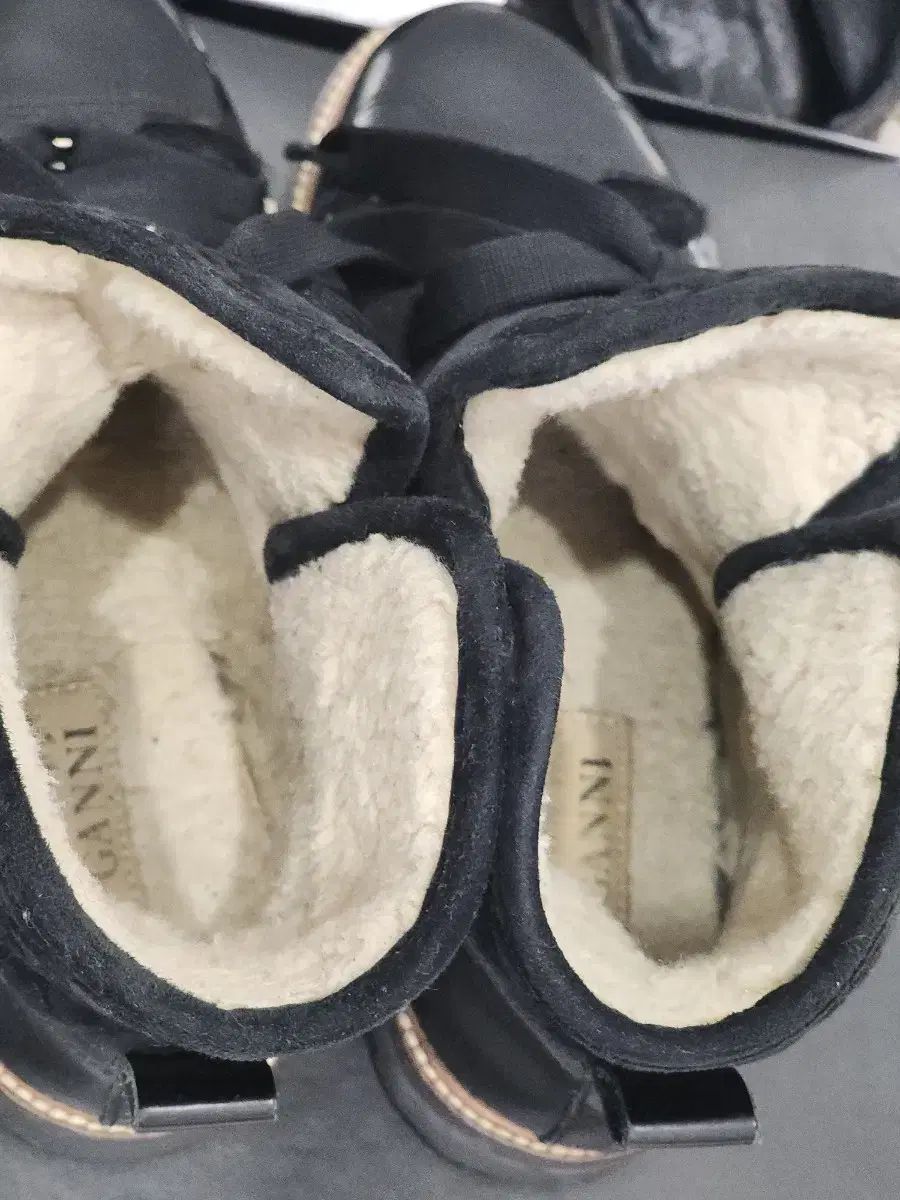 ベルベットアーツ VELVET ARTS ワールドチャンプ01 6枚フルセット