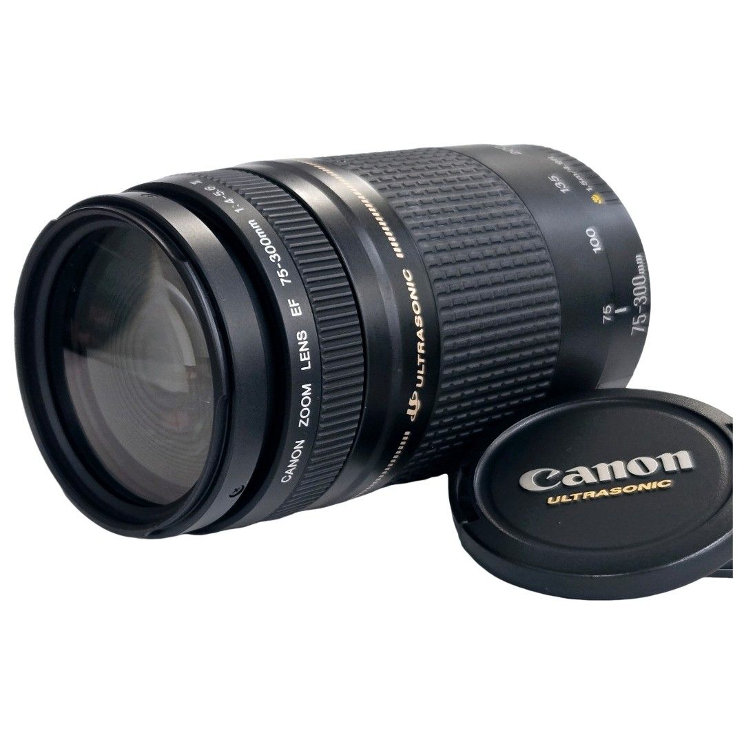 良品】 CANON キャノン EF 75-300mm F4-5.6 II USM #20684 - メルカリ