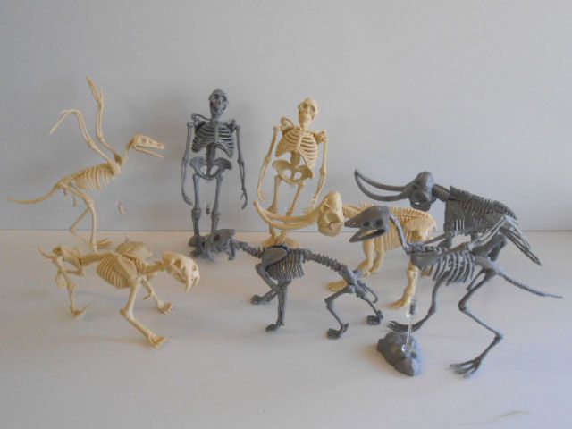 ★Jvi20HZ骨格ミュージアム3氷河期ルーツ編全8種可動フィギュア ☆Jvi20HZ骨格ミュージアム3氷河期ルーツ編全8種可動フィギュア