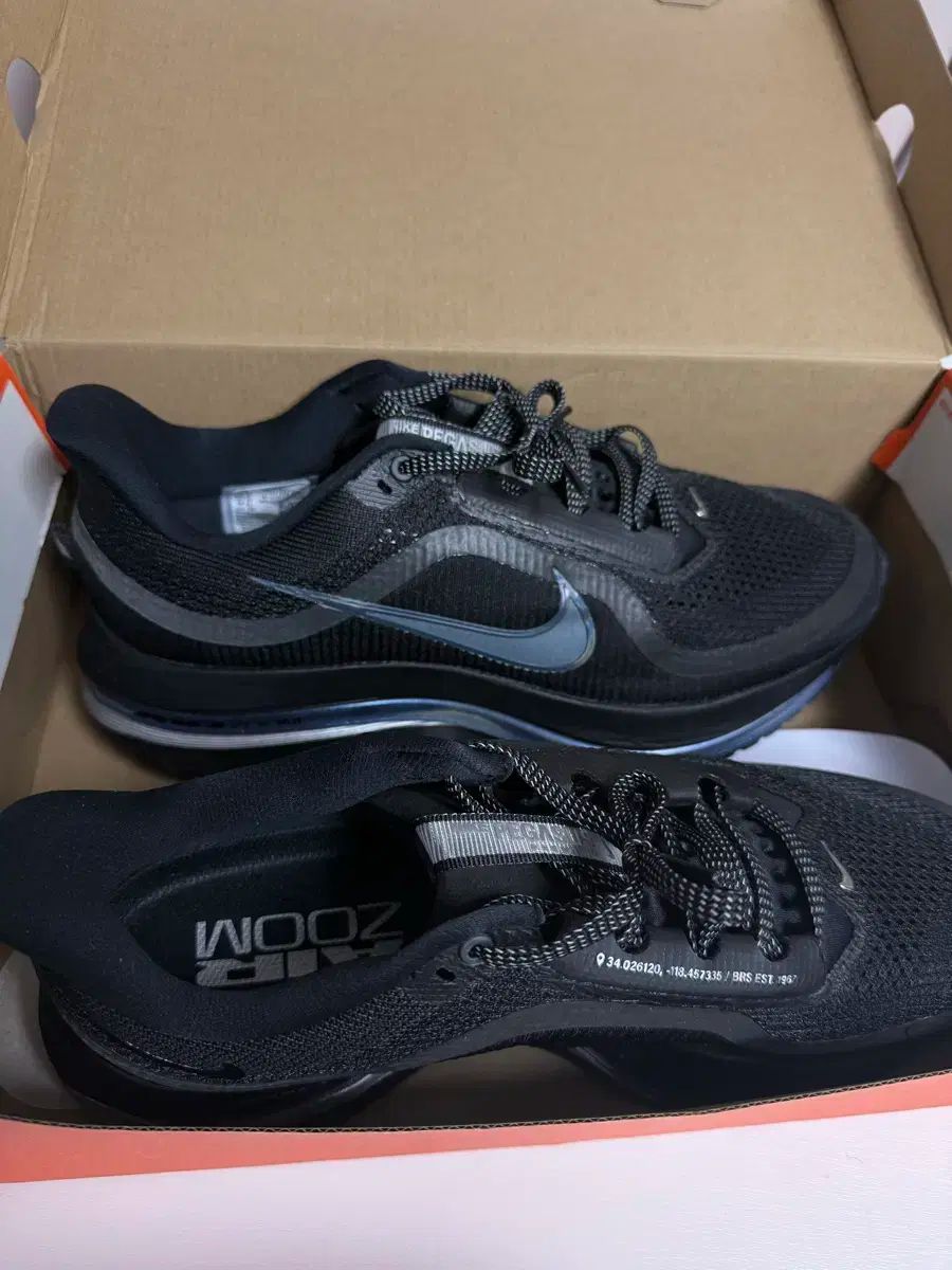 ナイキ ペガサス ブラック メタリック シルバー 290