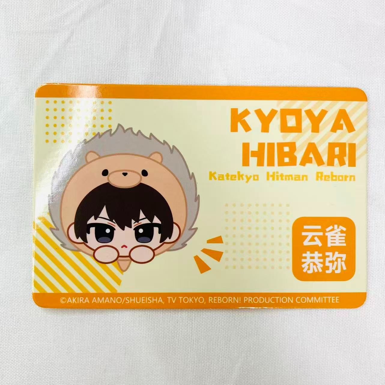 海外限定 中国限定 】家庭教師ヒットマンREBORN! ぬいぐるみ