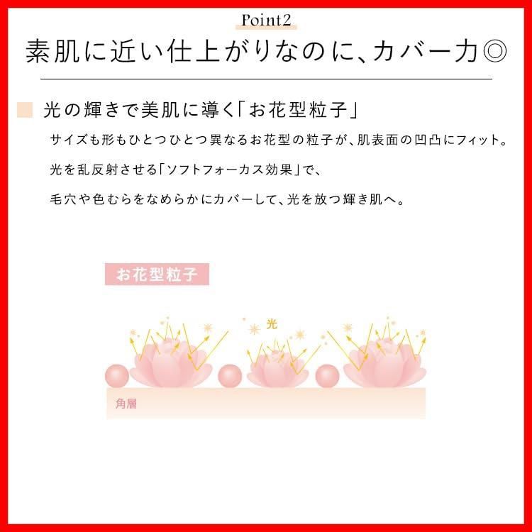 数量 リミテッド