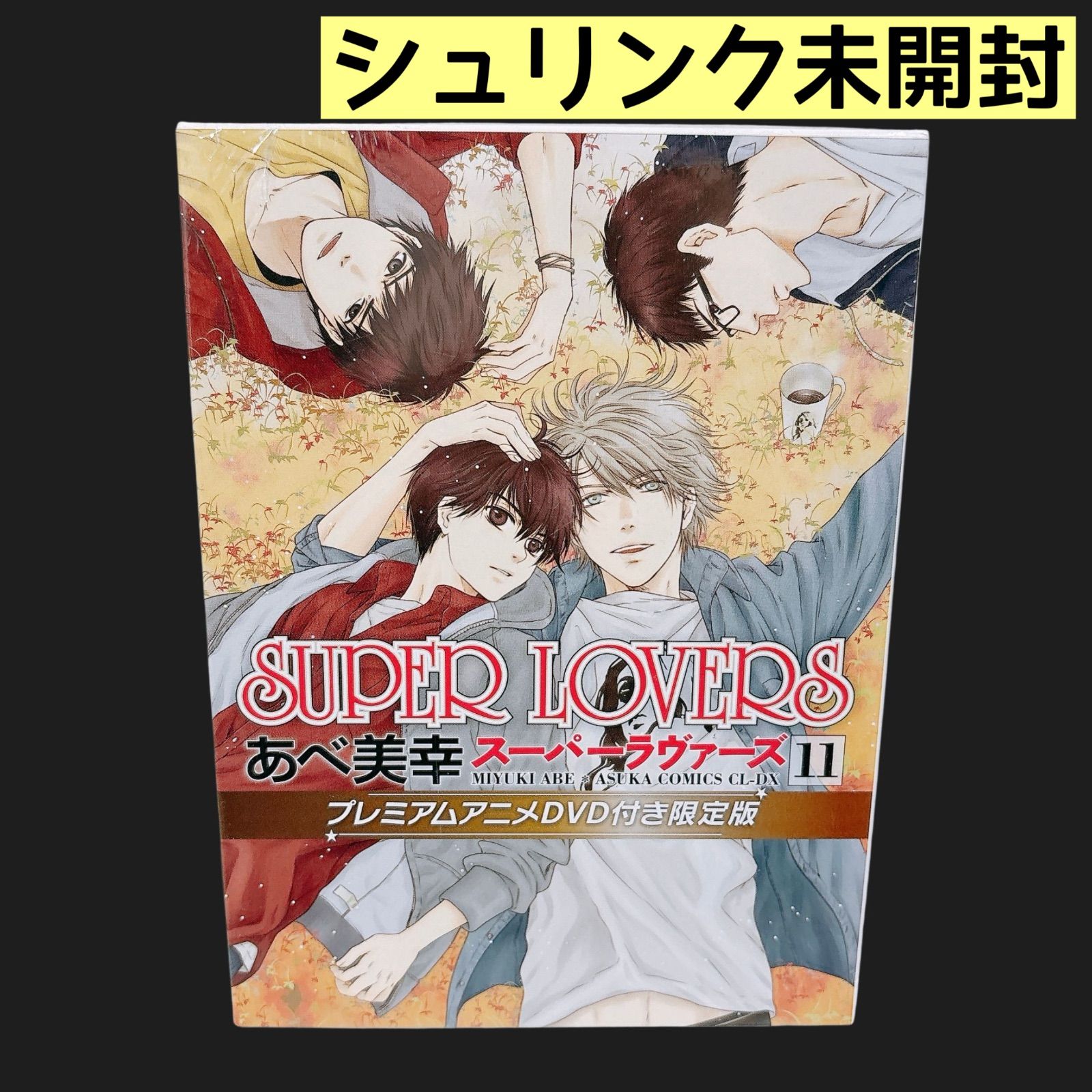 DVD□仏像の祈り 全11巻□ユーキャン 仏像の祈り DVD全11