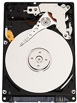 人気セール，限定セール 【中古】「未使用品」Western Digital 250 GB Scorpio Blue SATA 5400 RPM 8 MB Cache Bulk/OEM Notebook Hard Drive WD2500BEVS [並行輸入品] 内蔵型ハードディスクドライブ