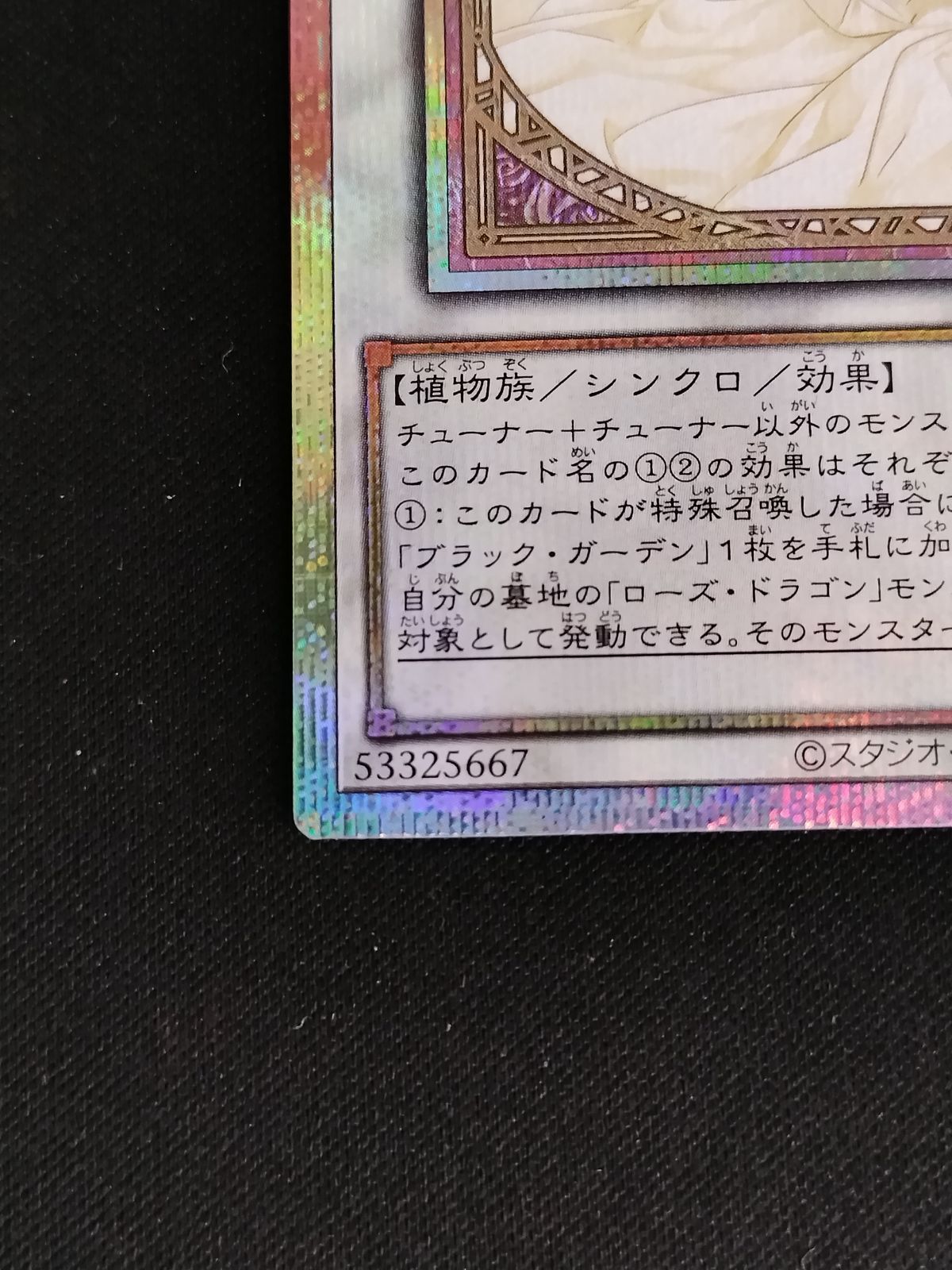 TCG】遊戯王OCG ガーデン・ローズ・メイデン(新イラスト)(プリズマ