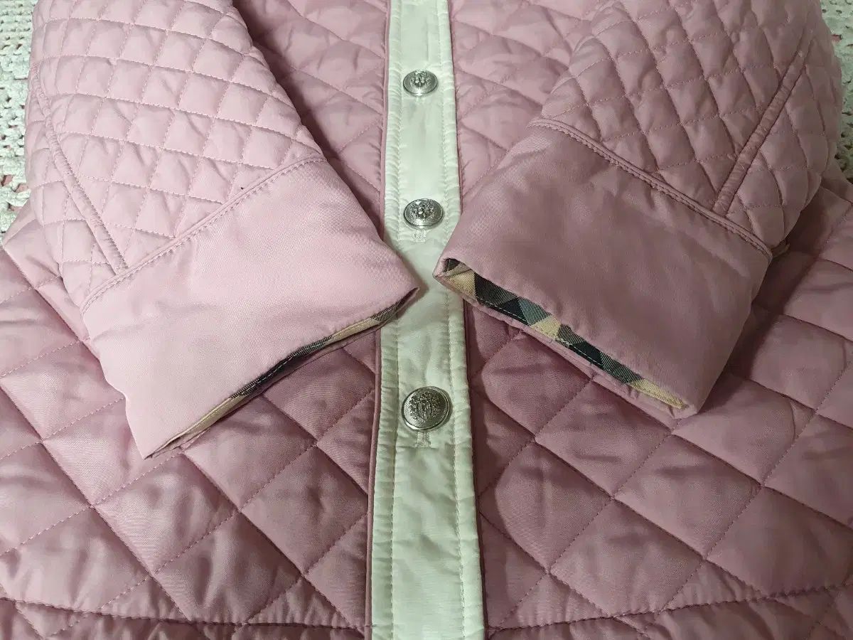 ダックス レディース