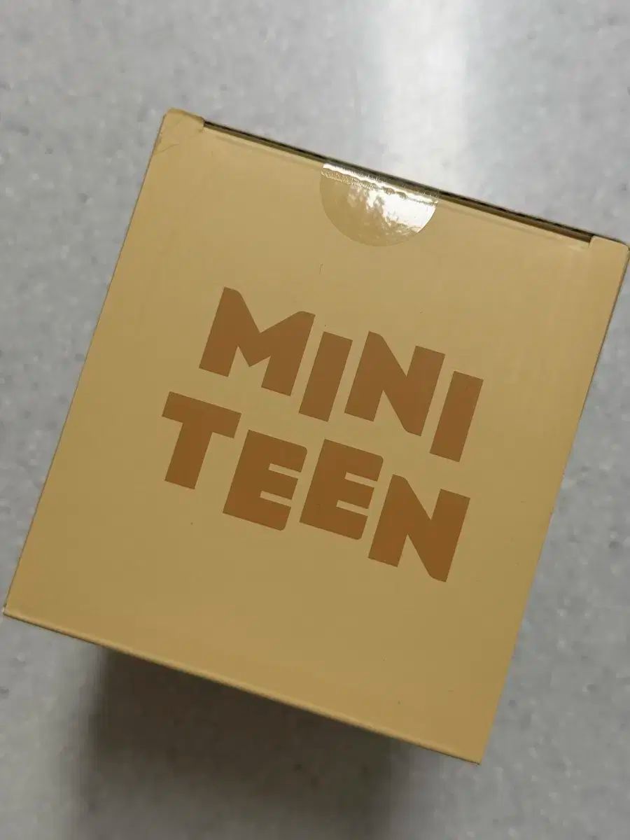 SEVENTEEN ミニ틴 キム ミンギュ KIM MINGYU ムードライト ぬいぐるみ