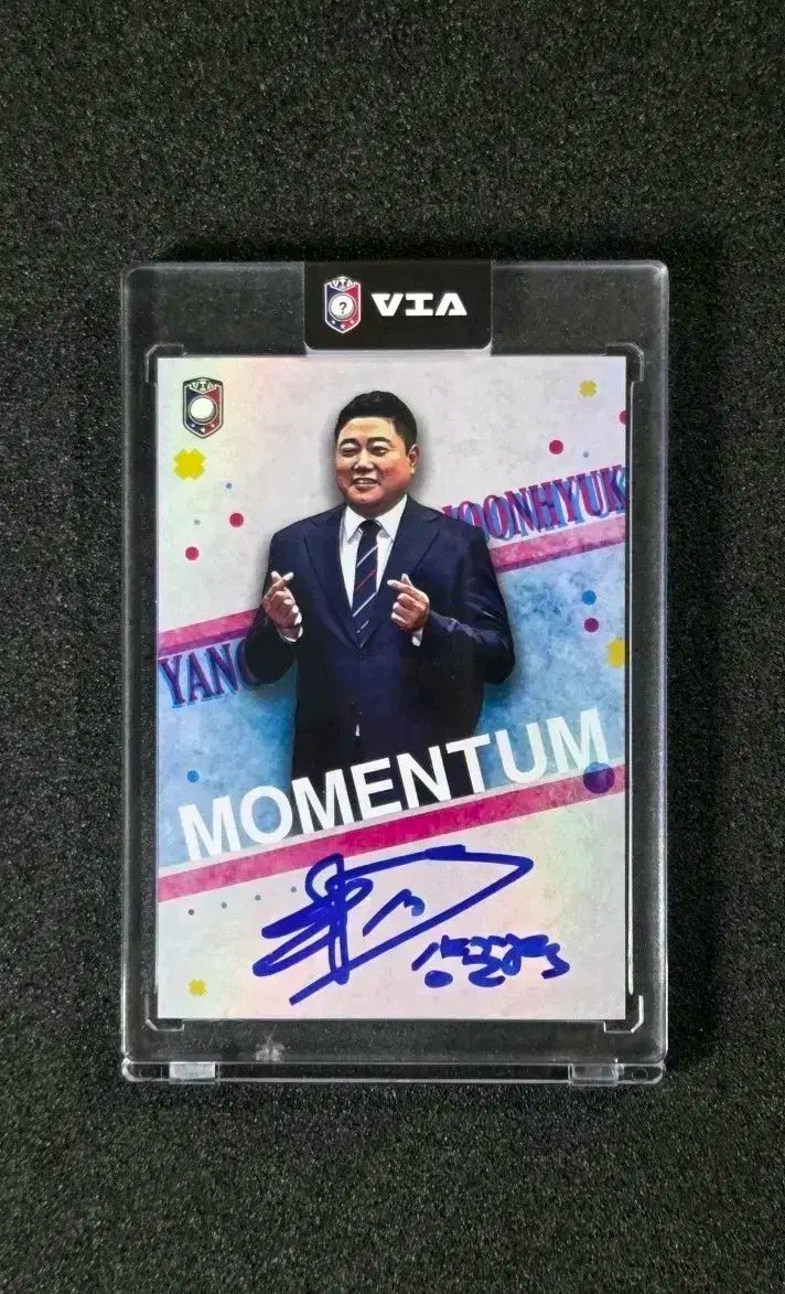 hitomi様☆三毛猫ちゃんとハートチョコのストラップ 他全14点 羊毛