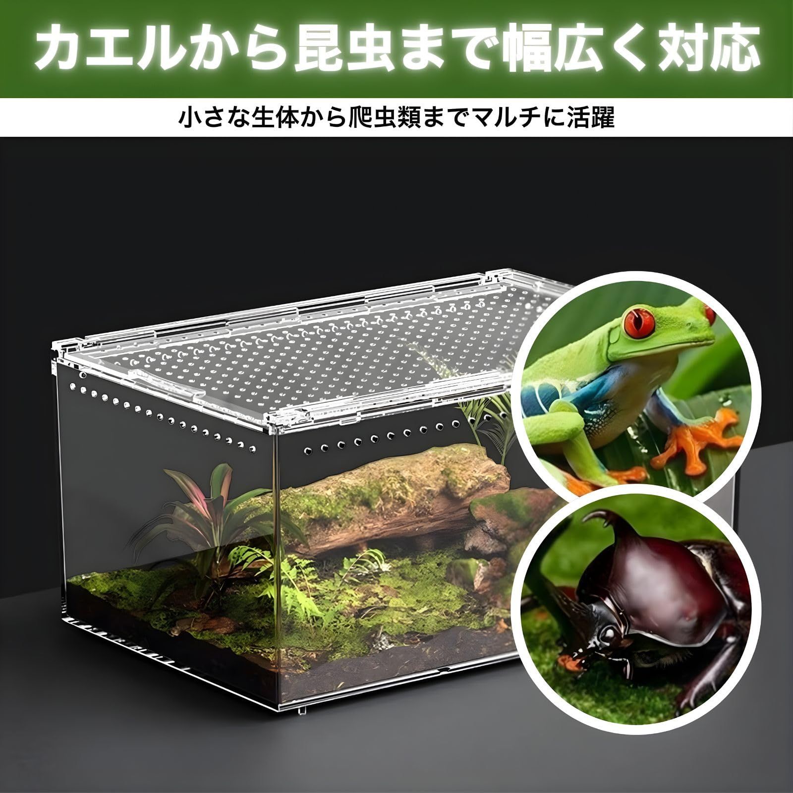 SESHIS 爬虫類 ケージ ボックス 飼育 ケース アクリル 透明 30x20x15cm