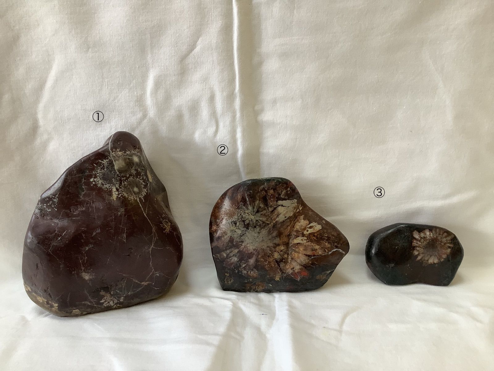 盆石 水石 菊花石セット - メルカリ