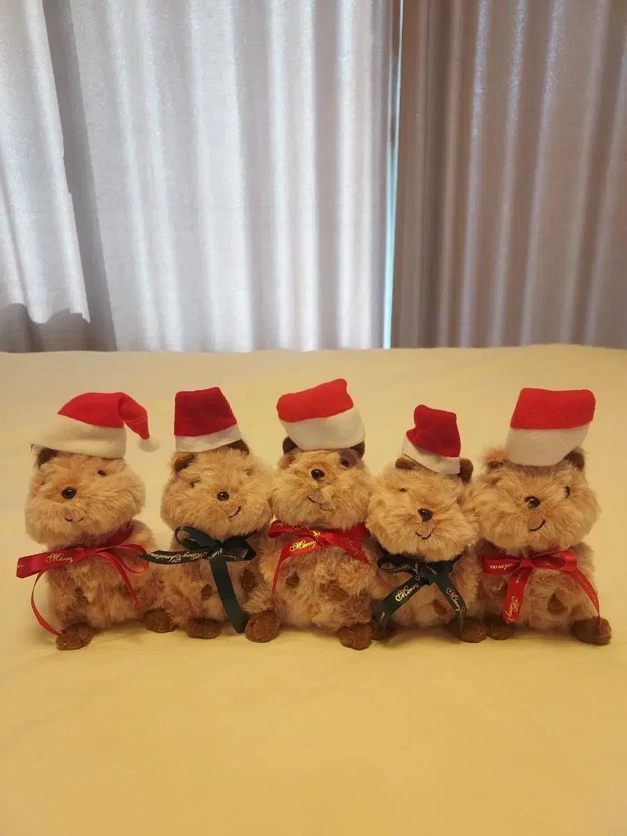 クォッカ ぬいぐるみ サンタ 帽子 クリスマス ぬいぐるみ - メルカリ