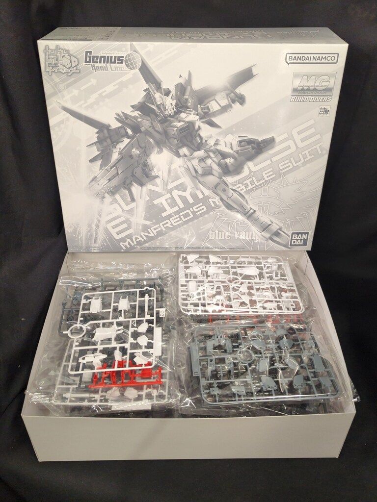 値下げ不可　新品未使用　ミズノ　アルファ 2 PRO　24.0cm BANDAI SPIRITS MG 1/100 ガンダムビルドダイバーズ Genius Head Line