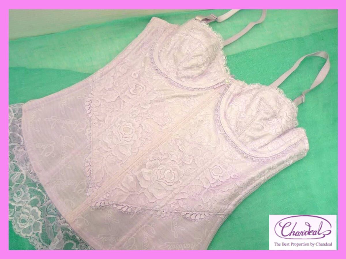 定価55000円 最 補正下着 シャンデール シャルム スリーインワン B 80 ピオニーパープル リバーレース Wライン補整 7本ボーン_NP 11