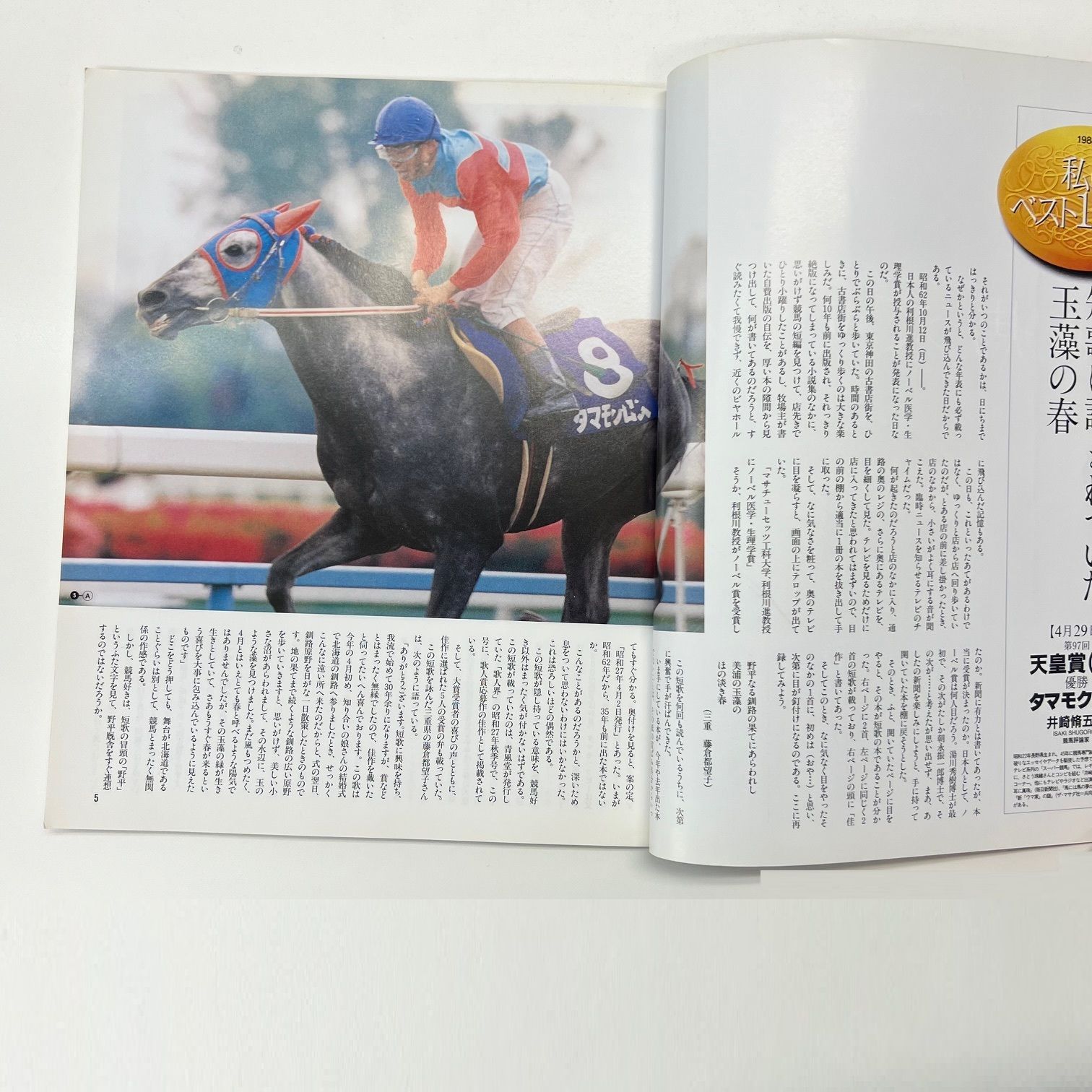 週刊ギャロップ Gallop 臨時増刊 永久保存版 JRA重賞年鑑 88年 - メルカリ
