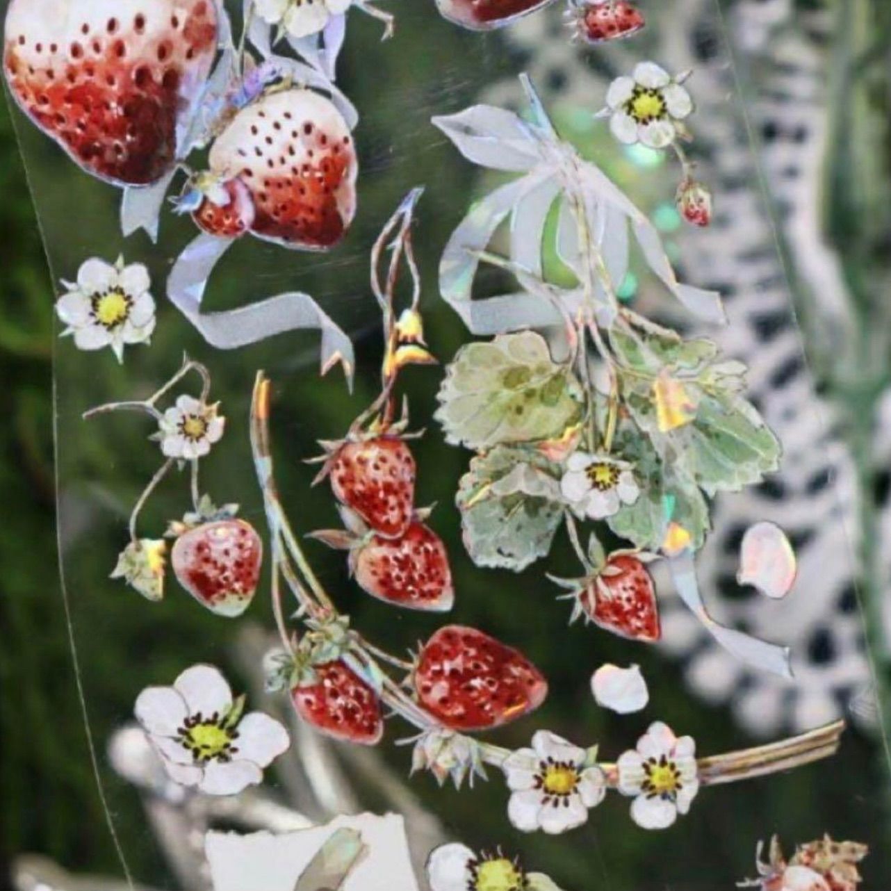 贝壳光 6cm×10m 草莓园 海外マスキングテープ 海外マステ イチゴ シカ