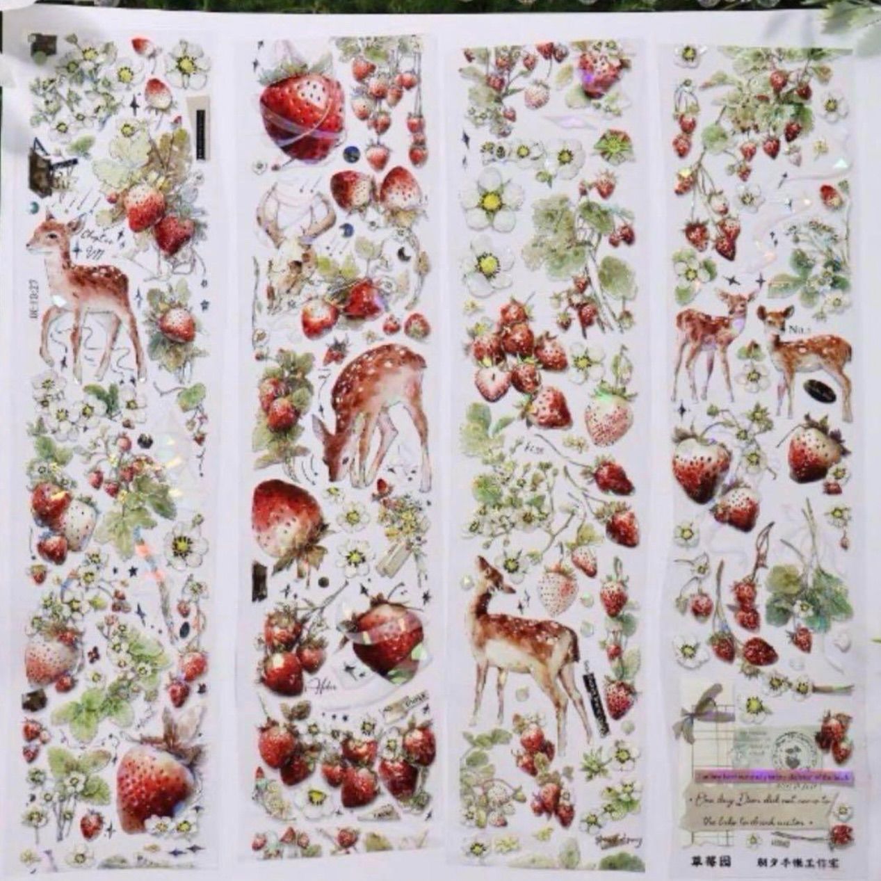 贝壳光 6cm×10m 草莓园 海外マスキングテープ 海外マステ イチゴ シカ
