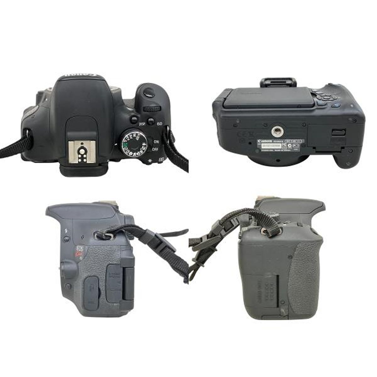 Canon EOS Kiss X5 ZOOM EF-S 18-55mm 3.5-5.6 IS II EF-S 55-250mm 4