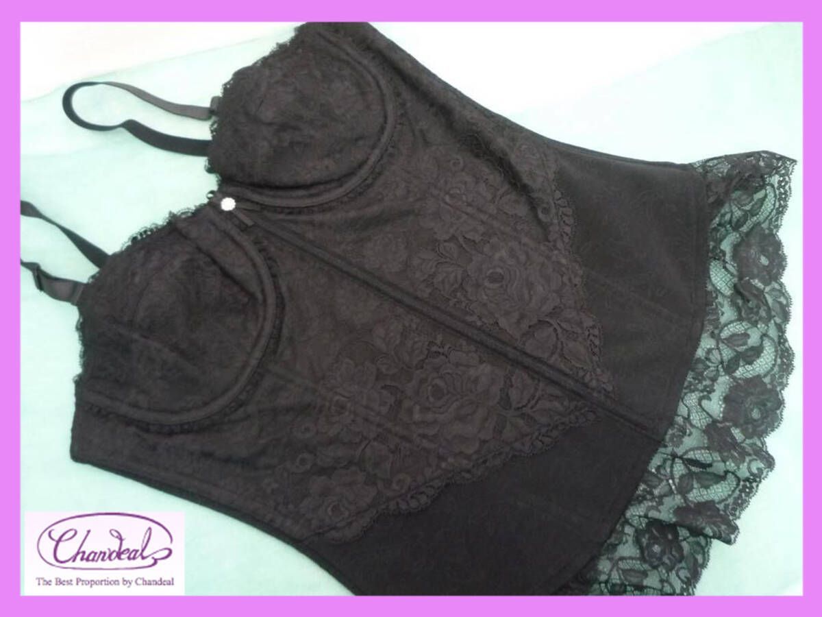 定価55000円 最高級補正下着 シャンデール シャルム スリーインワン