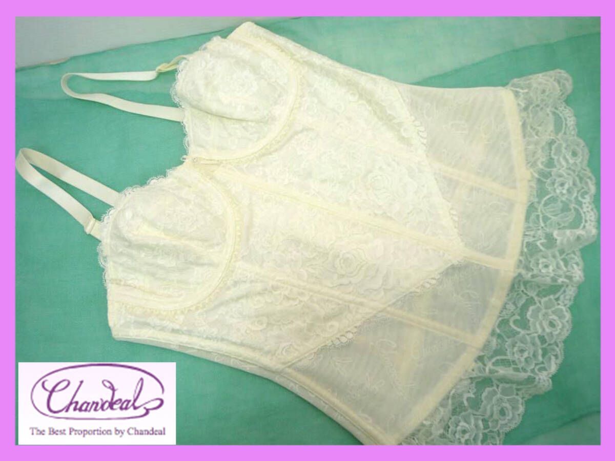 定価55000円 最 補正下着 シャンデール シャルム スリーインワン B 90 ホワイト リバーレース Wライン補整 7本ボーン _NP 5